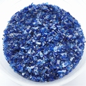 Fr145 RW - Iris blauw - Irisblau 